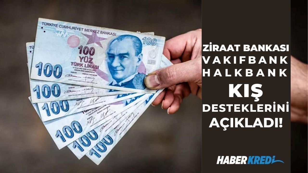 Devletten 10 bin TL kış desteği duyuruldu! Ziraat Bankası Vakıfbank Halkbank başvuru yapana hemen ödeme yapıyor!