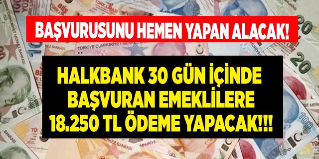 Halkbank 30 gün içerisinde başvuru yapan emeklilere 18.250 TL ödeme yapacak!